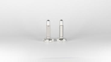 CPA-Schrauben Set Raw [2 Stk.] für Root-Lever und Root-Lever Pro